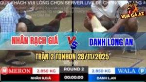 Trận 2 TonHon 28/11/2025 - Úa Hiệu Anh Danh Đá Điều Bể Bình Dầu Chạy