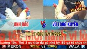 Trận 21 CPC5 17/11/2025 - Bướm Xanh Đâm Bướm Đỏ Chết Từ Trong Chết Ra