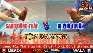 Trận 21 CPC5 9/11/2025 - Anh Sang Đồng Tháp Và Anh Nị Phú Thuận