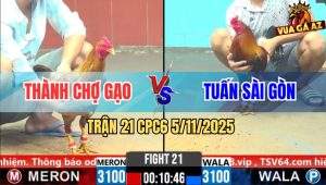Trận 21 CPC6 5/11/2025 - Điều Đá Bo Như Cây Đập Khét Hết Hồn Bung Chạy