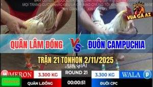 Trận 21 TonHon 2/11/2025 - Anh Đuôn CPC Khai Màn Lấy 3 Điểm Đầu Tiên