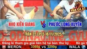 Trận 22 CPC5 18/11/2025 - Gà Bướm Anh Nho Đá Hồi Mã Thương Chuối Rụng