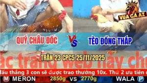Trận 23 CPC5 25/11/2025 - Điều Bông Anh Quý Đâm Mu Lưng Bướm Ra Si Rô