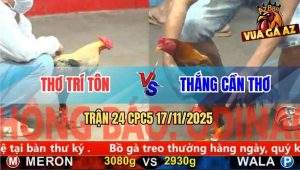 Trận 24 CPC5 17/11/2025 - Gà Chuối Anh Thơ Có Chân Độ Kiếp Gà Điều