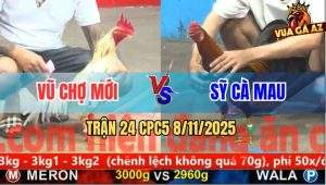 Trận 24 CPC5 8/11/2025 - Anh Vũ Chợ Mới Và Anh Sỹ Cà Mau