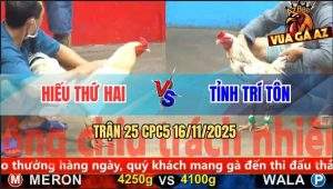 Trận 25 CPC5 16/11/2025 - Anh Hiếu Thứ Hai Và Anh Tỉnh Trí Tôn