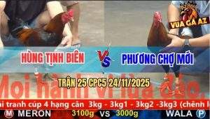 Trận 25 CPC5 24/11/2025 - Gà Điều Anh Phương 1 Cước Định Giang Sơn
