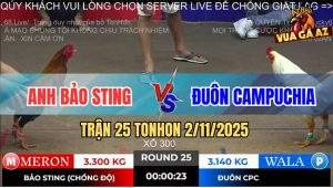 Trận 25 TonHon 2/11/2025 - Điều Cọp Bảo Sting Chồng Độ Bay Luôn Gần Tỷ