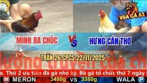 Trận 26 CPC5 22/11/2025 - Điều Bông Anh Minh Hạ Knock-Out Gà Úa