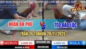 Trận 26 TonHon 28/11/2025 - Anh Tèo Bảo Lộc Có Chiến Thắng Đầu Tay