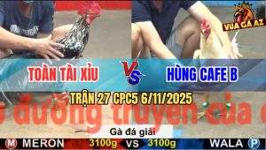 Trận 27 CPC5 6/11/2025 - Anh Tám Tài Xỉu Gặp Anh Anh Hùng Cafe B