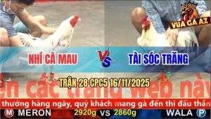 Trận 28 CPC5 16/11/2025 - Anh Nhí Cà Mau Và Anh Tài Sóc Trăng
