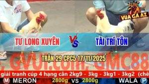 Trận 29 CPC5 17/11/2025 - Bướm Mồng Trà Để Cây Mu Lưng Úa Té Hết Cứu