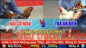 Trận 29 CPC5 4/11/2025 - Anh Hải Cà Mau Và Anh Trà An Biên