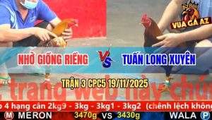 Trận 3 CPC5 19/11/2025 - Điều Cọp Anh Tuấn Xuyên Thủng Lưng Gà Vàng
