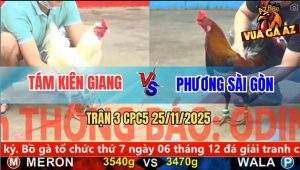 Trận 3 CPC5 25/11/2025 - Úa Chân Trắng Anh Tám Đá Không Cần Lo Nghĩ