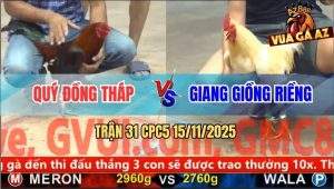 Trận 31 CPC5 15/11/2025 - Anh Quý Đồng Tháp Và Anh Giang Giồng Riềng