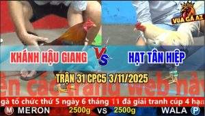 Trận 31 CPC5 3/11/2025 - Anh Khánh Hậu Giang Và Anh Hạt Tân Hiệp