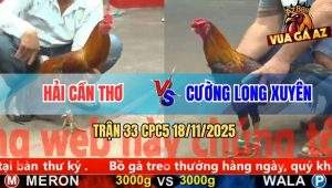 Trận 33 CPC5 18/11/2025 - Điều Cọp Anh Cường Nhấc Chân Là Có Kết Quả