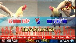 Trận 33 CPC5 19/11/2025 - Bướm Hiệu Anh Bé Hạ Gà Chuối Trong Nốt Nhạc