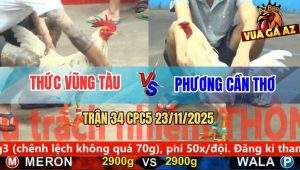 Trận 34 CPC5 23/11/2025 - Bướm Anh Thức Đá Cây Bang Tai Xanh Tăt Lịm