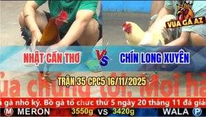 Trận 35 CPC5 16/11/2025 - Anh Nhật Cần Thơ Và Anh Chín Long Xuyên