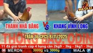 Trận 36 CPC5 8/11/2025 - Anh Thanh Nhà Bàng Và Anh Khang Vĩnh Long