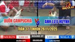 Trận 37 TonHon 28/11/2025 - Anh Đuôn Campuchia Gặp Anh Lưu Huynh