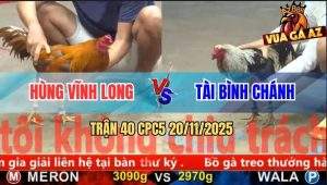 Trận 40 CPC5 20/11/2025 - Khét Đuôi Lao Anh Hùng Đâm Cựa Quá Nghiệt