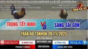 Trận 40 TonHon 28/11/2025 - Gà Cú Anh Sang Đâm Điều Lọt Tim Chết Đứng