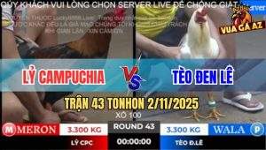 Trận 43 TonHon 2/11/2025 - Úa Quá Trâu Gồng Đá Gà Chuối Té Phút 90