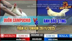 Trận 43 TonHon 28/11/2025 - Bướm Đá 1 Hơi Hạ Úa Hiệu Bảo Sting