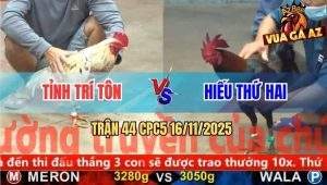 Trận 44 CPC5 16/11/2025 - Anh Tỉnh Trí Tôn Và Anh Hiếu Thứ Hai