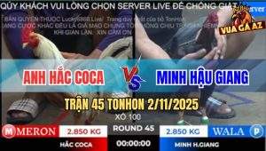 Trận 45 TonHon 2/11/2025 - Đám Gà Bướm Anh Hắc CoCa Nay Đá Quá Đâm
