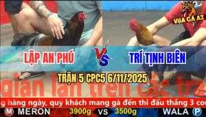 Trận 5 CPC5 6/11/2025 - Xám Anh Trí Cho Đối Thủ Dư 4 Chấm Và Cái Kết