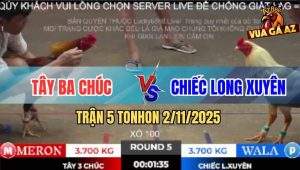 Trận 5 TonHon 2/11/2025 - Bướm Bóp Được Cặp Ngực Điều Té Hêt Cứu