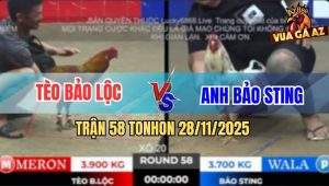 Trận 58 TonHon 28/11/2025 - Anh Tèo Xuất Sơn Tiếp Tục Hạ Bảo Sting