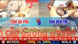 Trận 6 CPC5 20/11/2025 - Camelo Đá 1 Hơi Bướm Anh Gấu Bến Tre Lìa Giò