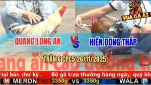 Trận 6 CPC5 26/11/2025 - Gà Xám Anh Hiền Có Chân Xạo Lờ Bẻ Cổ Đối Thủ