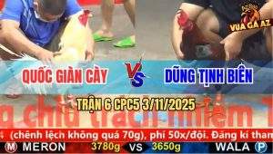 Trận 6 CPC5 3/11/2025 - Anh Quốc Giàn Cày Và Anh Dũng Tịnh Biên