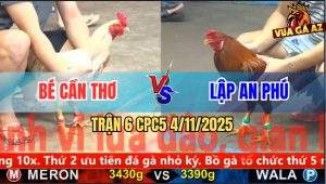 Trận 6 CPC5 4/11/2025 - Anh Bé Cần Thơ Và Anh Lập An Phú