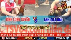 Trận 7 CPC5 26/11/2025 - Gà Que Đá Chuối Anh Dưa Hấu Đi Bán Muối