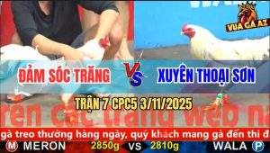 Trận 7 CPC5 3/11/2025 - Anh Đảm Sóc Trăng Và Anh Xuyên Thoại Sơn