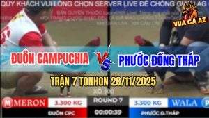 Trận 7 TonHon 28/11/2025 - Xanh Bông Anh Phước Vô Kính Đá Điều Phá Đôi