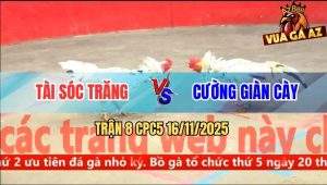 Trận 8 CPC5 16/11/2025 - Anh Tài Sóc Trăng Và Anh Cương Giàn Cày