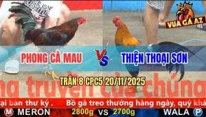 Trận 8 CPC5 20/11/2025 - Điều Cọp Anh Thiện Gồng Nước Khuya Quá Lực