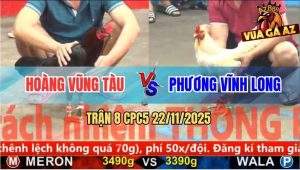 Trận 8 CPC5 22/11/2025 - Bướm So So Chọi Chân Ngay Đầu Gà Que Tắt Điện