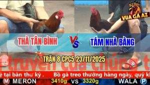 Trận 8 CPC5 23/11/2025 - Anh Tám Buộc Thua Để Giữ Mạng Kê Chiến