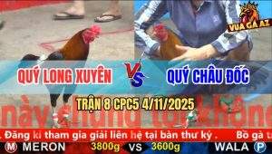 Trận 8 CPC5 4/11/2025 - Anh Quý Long Xuyên Và Anh Quý Châu Đốc