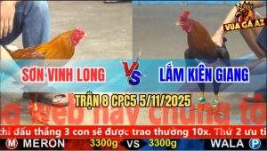 Trận 8 CPC5 5/11/2025 - Anh Sơn Vĩnh Long Và Anh Lắm Kiên Giang